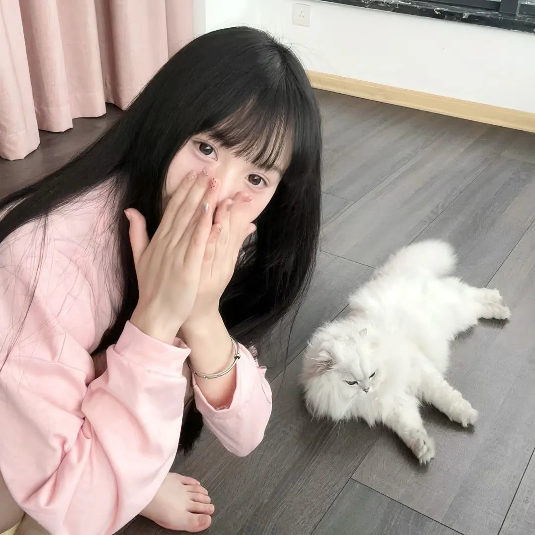 爱猫之城